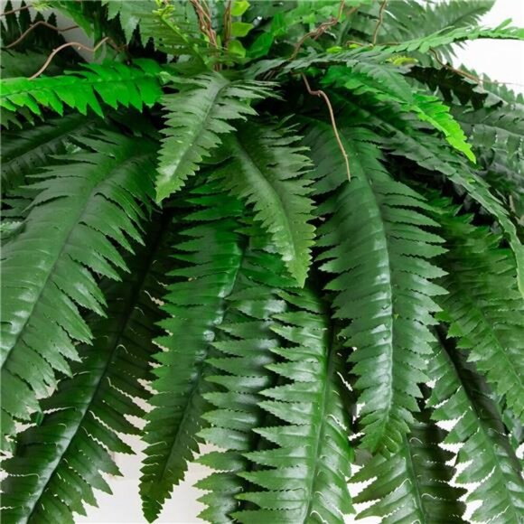 Set of 2 Large Hanging Fake Boston Ferns 48in Lush Greenery Home Decor - Picture 3 of 7